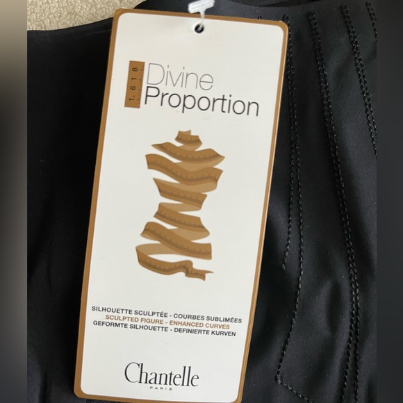 Chantelle Divine Proportion Shaping High Waist Brief - Picture 2 of 6